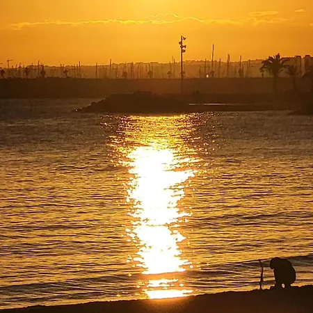 Magorja Residences * 托雷维耶哈