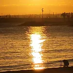 Magorja Residences * Torrevieja